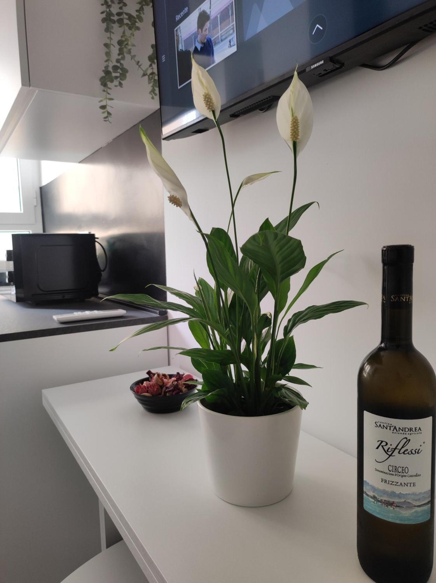 Oniria Suite - 100 Mt Dal Mare แตร์ราชินา ภายนอก รูปภาพ